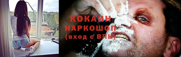 молекула духа Гусев