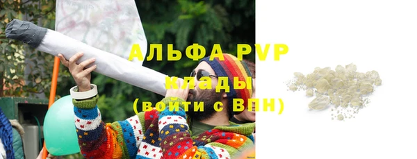 молекула духа Гусев