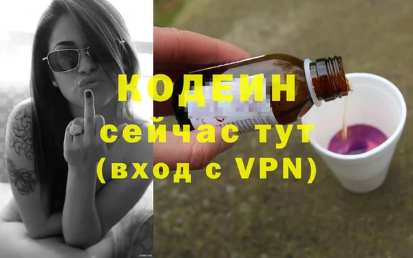 молекула духа Гусев