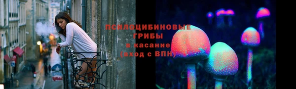 mix Гусиноозёрск