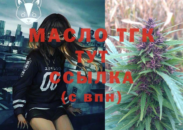 молекула духа Гусев