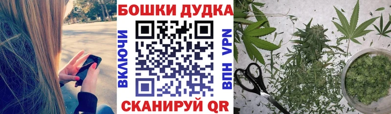 Шишки марихуана конопля  как найти наркотики  Харовск 